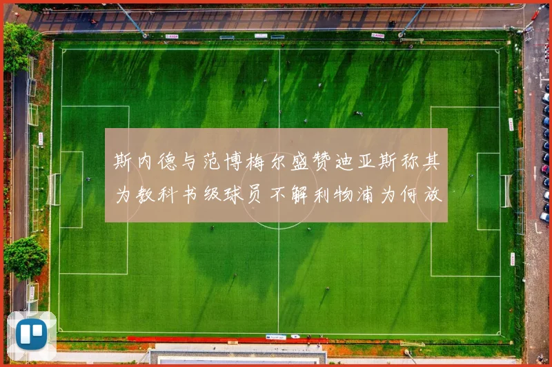 斯内德与范博梅尔盛赞迪亚斯称其为教科书级球员不解利物浦为何放弃他