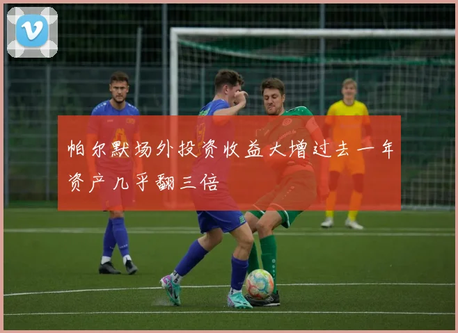 帕尔默场外投资收益大增过去一年资产几乎翻三倍